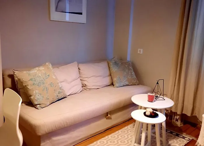 アパート Cozy & Stylish In The Heart Of ソフィア